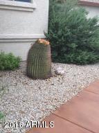 9311 N Diffin Rd, Florence, AZ 85132 photo 33