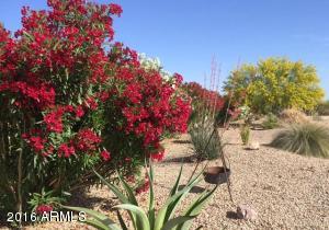 9311 N Diffin Rd, Florence, AZ 85132 photo 5