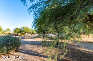2001 W 18th Ave, Apache Junction, AZ 85120 photo 24