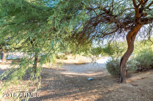 2001 W 18th Ave, Apache Junction, AZ 85120 photo 25