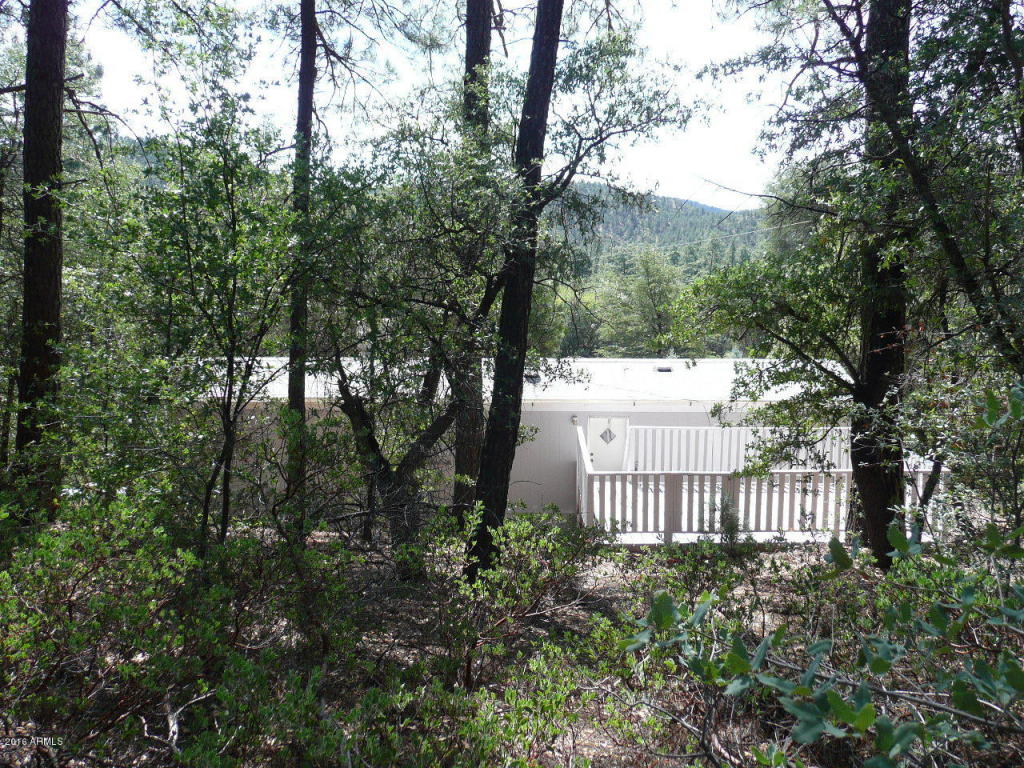 164 E Sharps Dr, Young, AZ 85554 photo 16