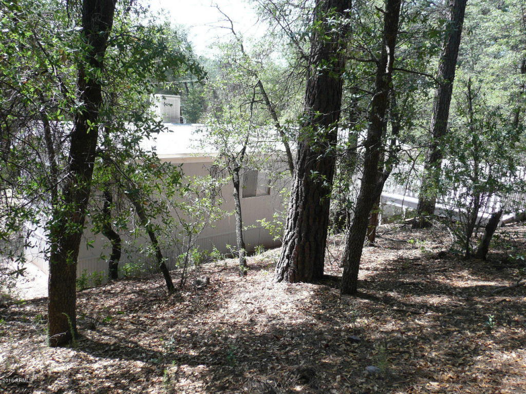 164 E Sharps Dr, Young, AZ 85554 photo 20