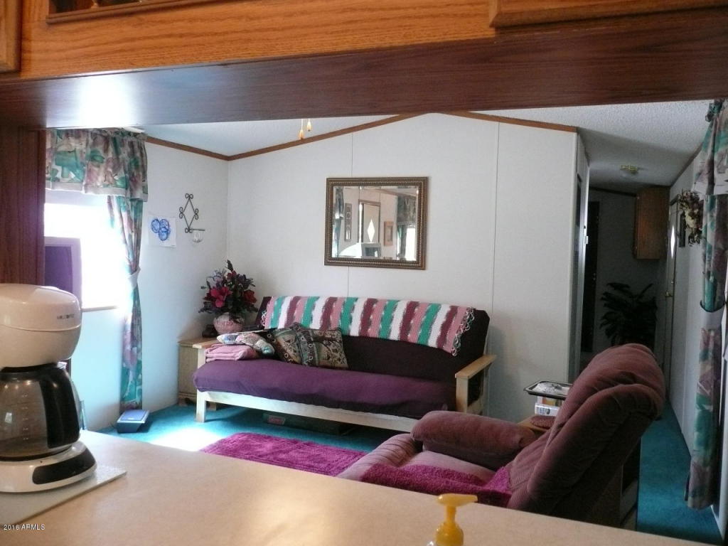 164 E Sharps Dr, Young, AZ 85554 photo 12