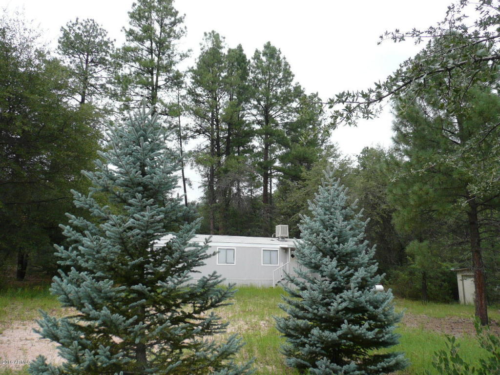 164 E Sharps Dr, Young, AZ 85554 photo 5