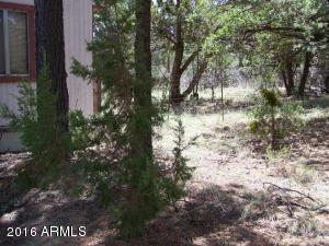 2967 Deer Trak, Overgaard, AZ 85933 photo 15