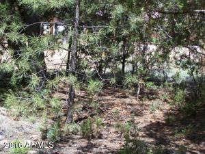 2967 Deer Trak, Overgaard, AZ 85933 photo 12