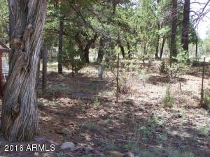 2967 Deer Trak, Overgaard, AZ 85933 photo 13