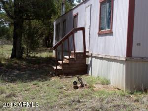 2967 Deer Trak, Overgaard, AZ 85933 photo 16