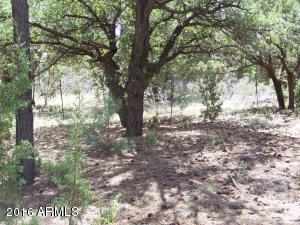2967 Deer Trak, Overgaard, AZ 85933 photo 10