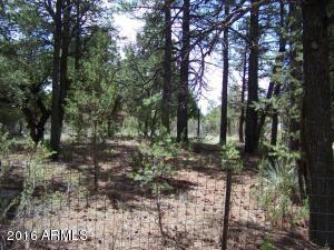 2967 Deer Trak, Overgaard, AZ 85933 photo 8