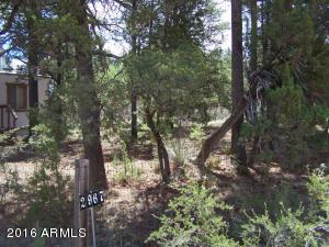 2967 Deer Trak, Overgaard, AZ 85933 photo 14