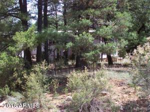 2967 Deer Trak, Overgaard, AZ 85933 photo 11