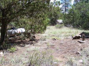 2967 Deer Trak, Overgaard, AZ 85933 photo 9