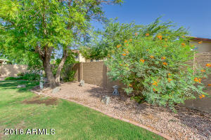 5846 E Fox Cir, Mesa, AZ 85205 photo 36