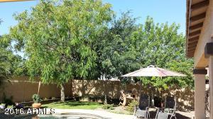 9771 E Barley Rd, Florence, AZ 85132 photo 13