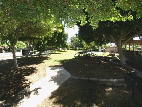 1411 E Commodore Pl, Tempe, AZ 85283 photo 74