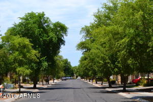 3009 E Dublin St, Gilbert, AZ 85295 photo 4
