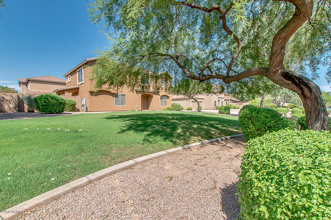 4046 E Abraham Ln, Phoenix, AZ 85050 photo 4