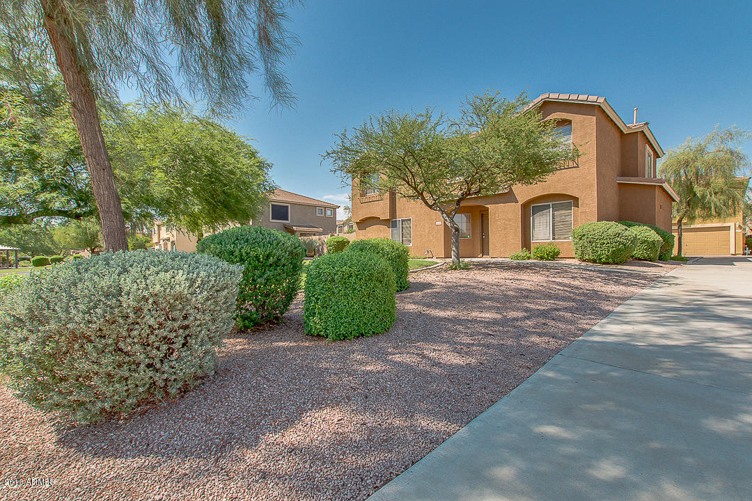 4046 E Abraham Ln, Phoenix, AZ 85050 photo 5