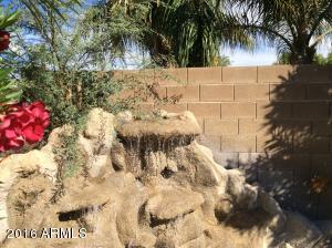 2520 E Taro Ln, Phoenix, AZ 85050 photo 13