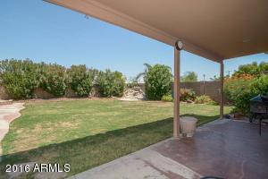 2520 E Taro Ln, Phoenix, AZ 85050 photo 11