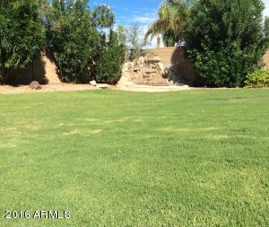 2520 E Taro Ln, Phoenix, AZ 85050 photo 12