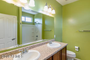 1131 S Pheasant Dr, Gilbert, AZ 85296 photo 19
