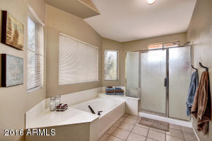 7424 E Kilarea Ave, Mesa, AZ 85209 photo 28