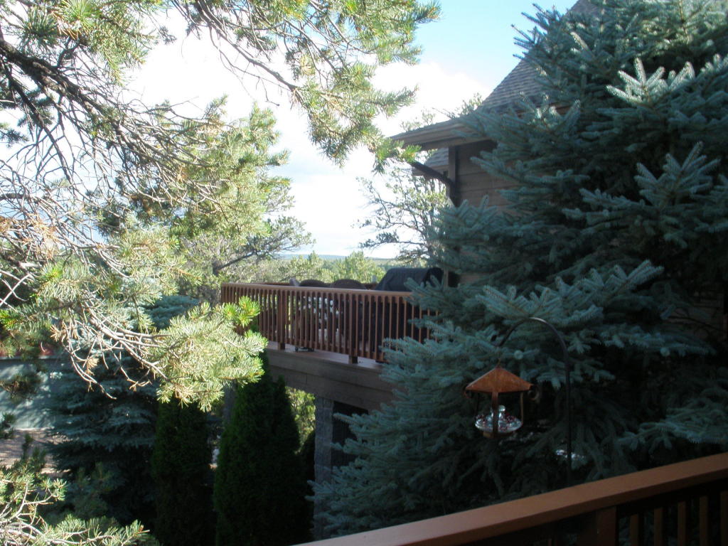 2253 NE Bogey Pl, Overgaard, AZ 85933 photo 63