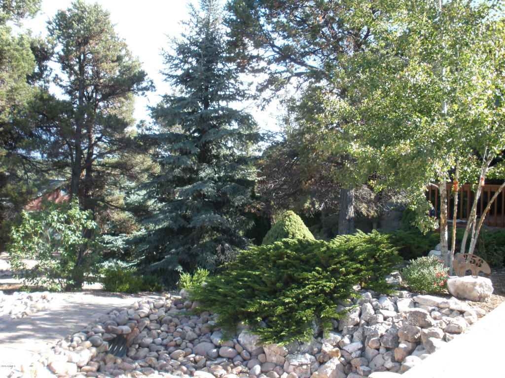 2253 NE Bogey Pl, Overgaard, AZ 85933 photo 53