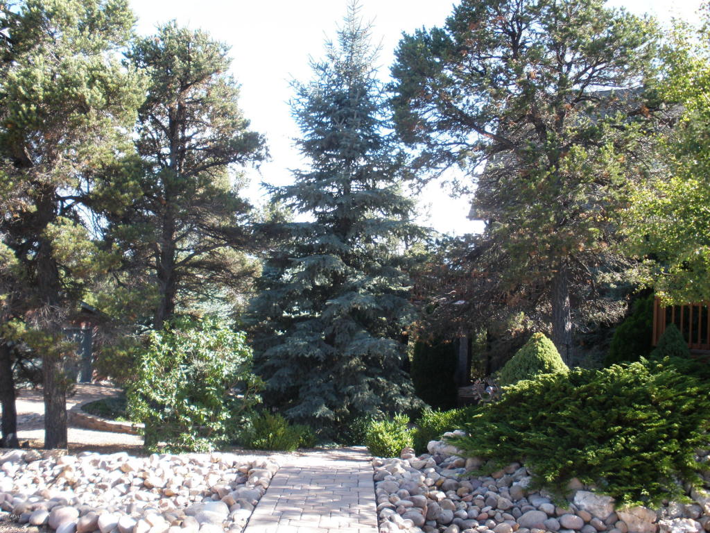 2253 NE Bogey Pl, Overgaard, AZ 85933 photo 60