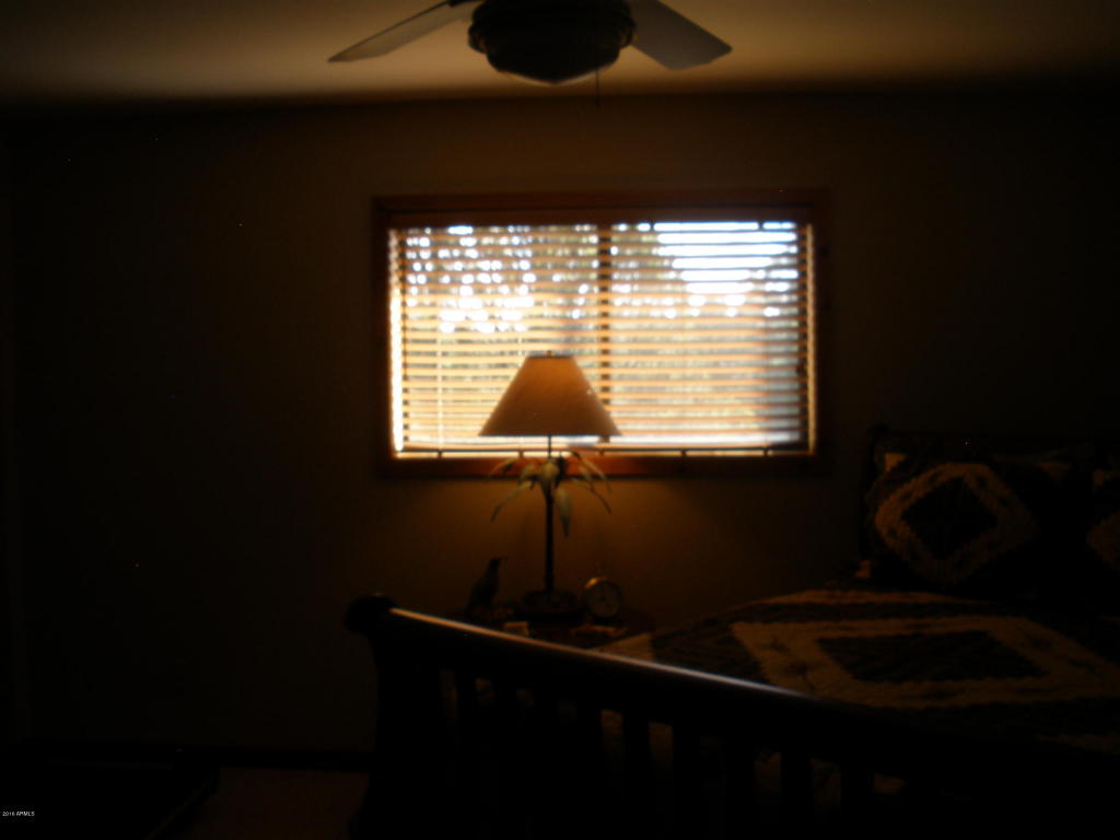 2253 NE Bogey Pl, Overgaard, AZ 85933 photo 40