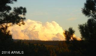 2253 NE Bogey Pl, Overgaard, AZ 85933 photo 72