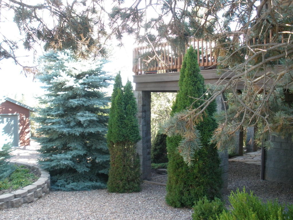 2253 NE Bogey Pl, Overgaard, AZ 85933 photo 54