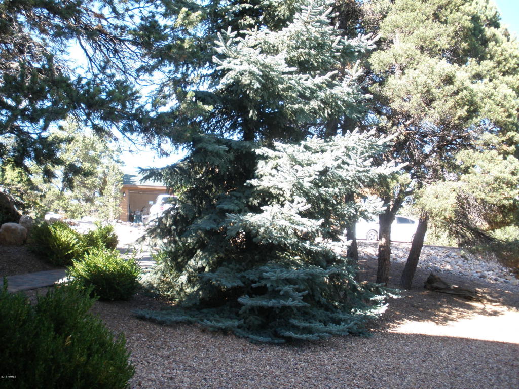 2253 NE Bogey Pl, Overgaard, AZ 85933 photo 55