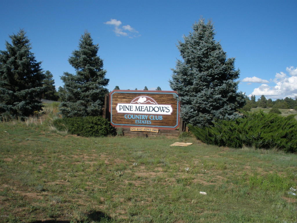 2253 NE Bogey Pl, Overgaard, AZ 85933 photo 71