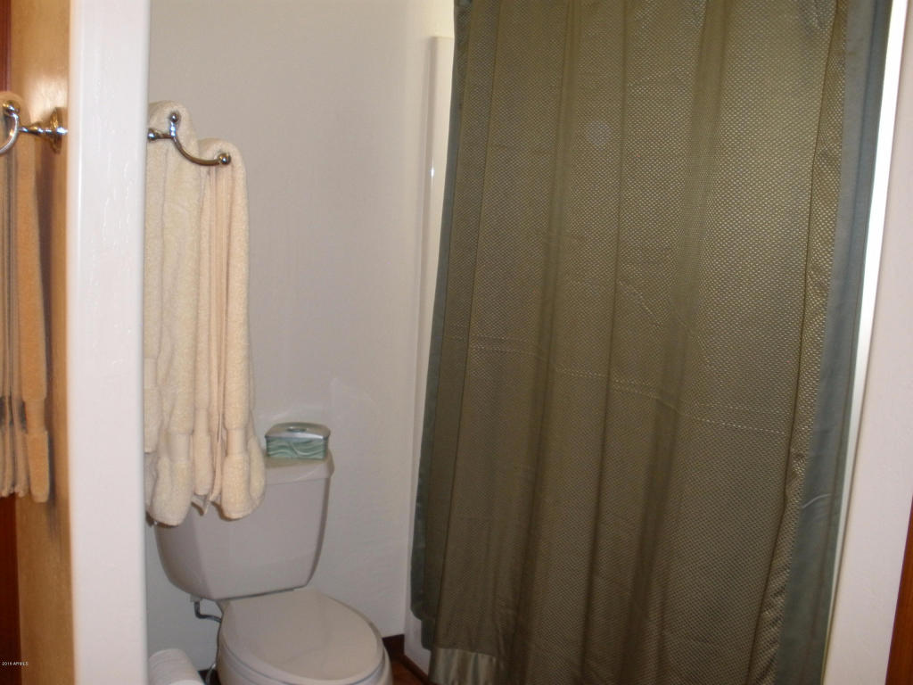 2253 NE Bogey Pl, Overgaard, AZ 85933 photo 35