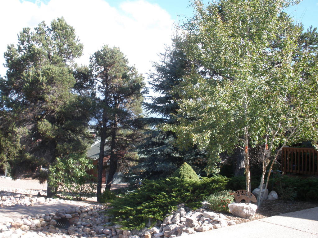 2253 NE Bogey Pl, Overgaard, AZ 85933 photo 52