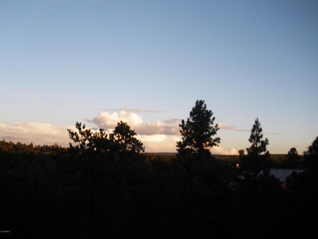 2253 NE Bogey Pl, Overgaard, AZ 85933 photo 4