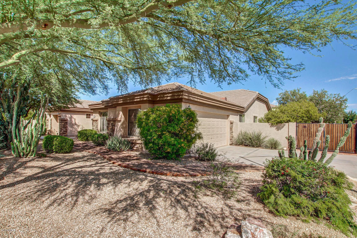 3050 E Indigo St, Mesa, AZ 85213 photo 5