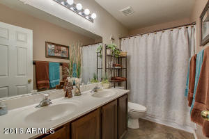 4232 E Douglas Ave, Gilbert, AZ 85234 photo 46
