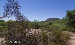 2129 E Robin Ln, Phoenix, AZ 85024 photo 21
