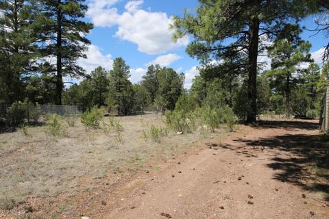 2040 Kittrick Cir, Overgaard, AZ 85933 photo 32