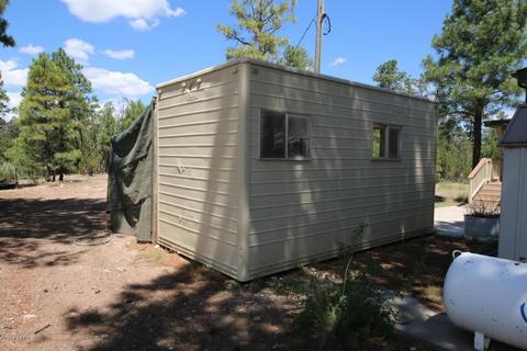 2040 Kittrick Cir, Overgaard, AZ 85933 photo 33