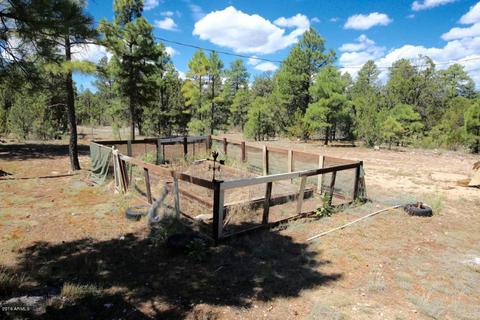 2040 Kittrick Cir, Overgaard, AZ 85933 photo 29