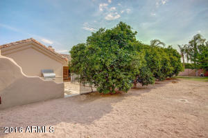 3446 E Downing St, Mesa, AZ 85213 photo 42