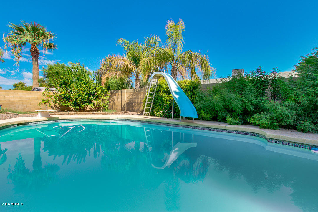 1632 E Hope St, Mesa, AZ 85203 photo 39