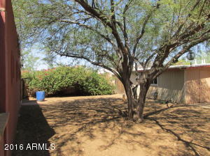 1445 E Hatcher Rd, Phoenix, AZ 85020 photo 23