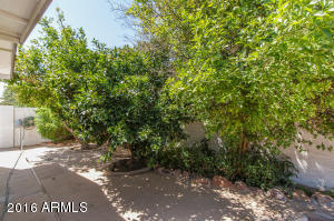 2344 W Nopal Ave, Mesa, AZ 85202 photo 25