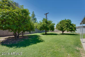 1659 E 2nd St, Mesa, AZ 85203 photo 17